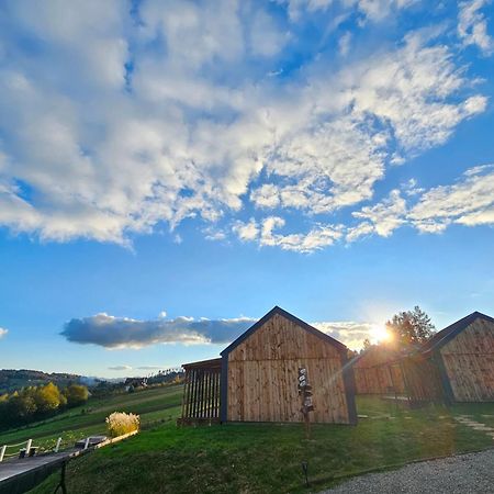 Chata W Bieszczadzie Apartamenty I Domki Z Sauna Bieszczady Polańczyk Exterior foto