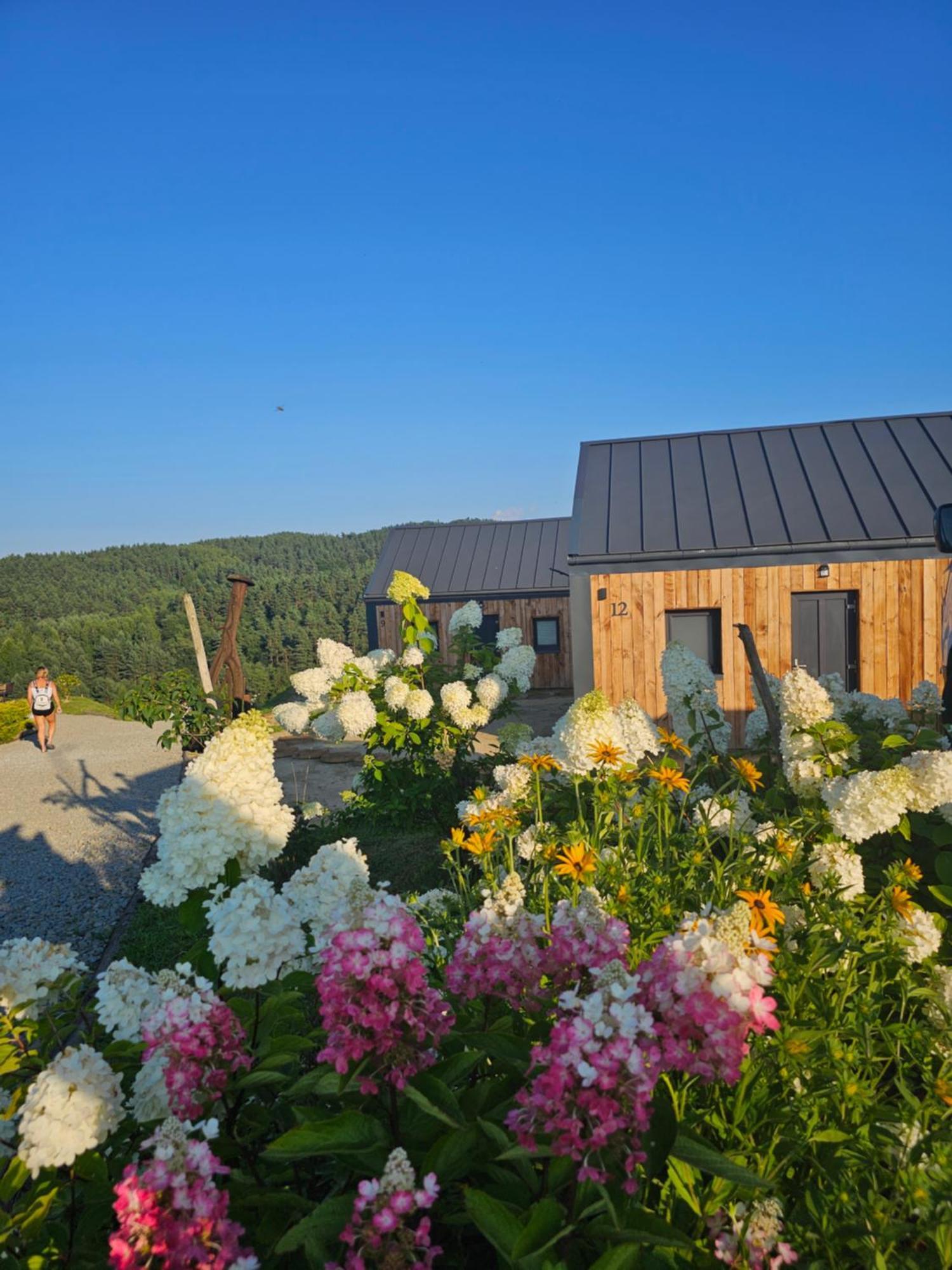 Chata W Bieszczadzie Apartamenty I Domki Z Sauna Bieszczady Polańczyk Exterior foto